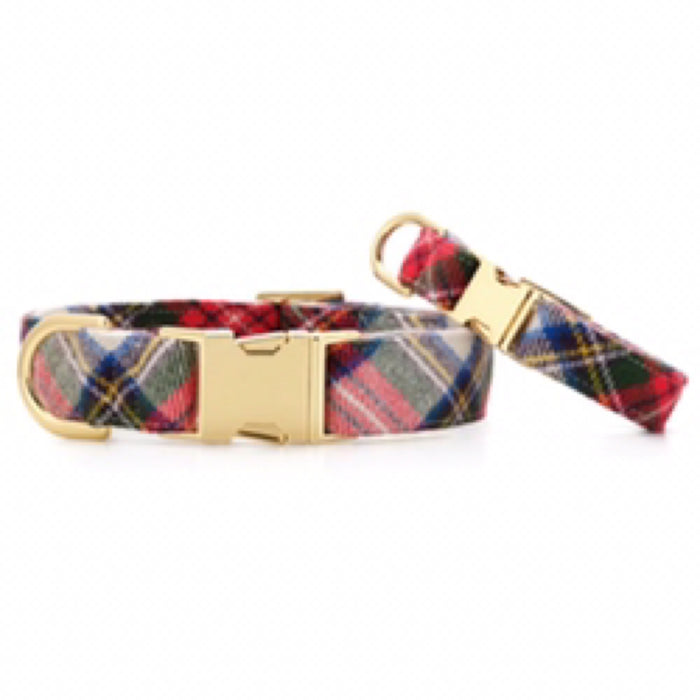 Foggy Dog- Regent Plaid Collar