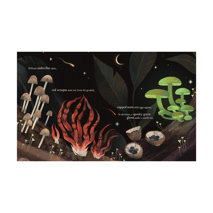 Mushroom Rain Picture Book