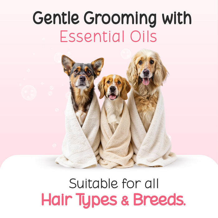 Natural Short Coat Dog Shampoo (Labrador, Beagle, Indie)