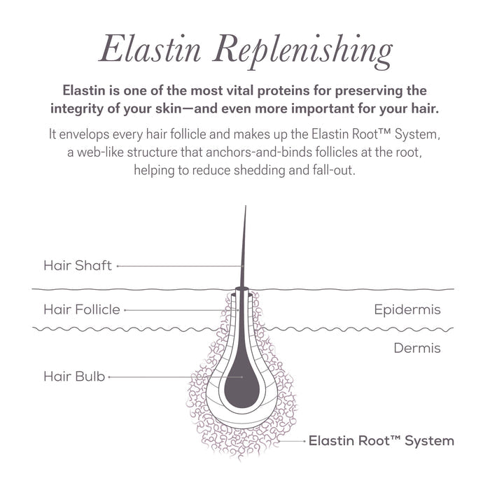 Front view of LASH Follicle Fortifying Serum 2-pack showcasing two silver serum tubes with applicators on gray background