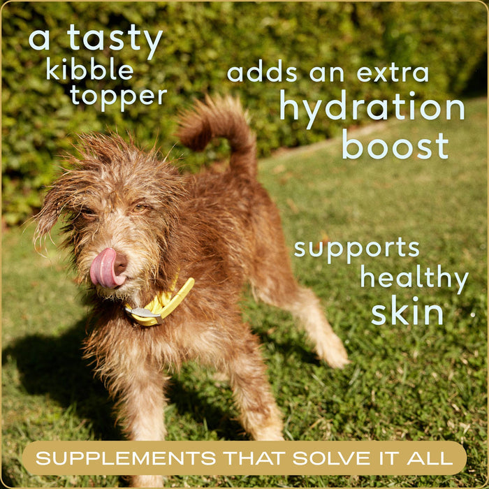Beef Bone Broth Powder, Grain-Free Food Topper: Large
