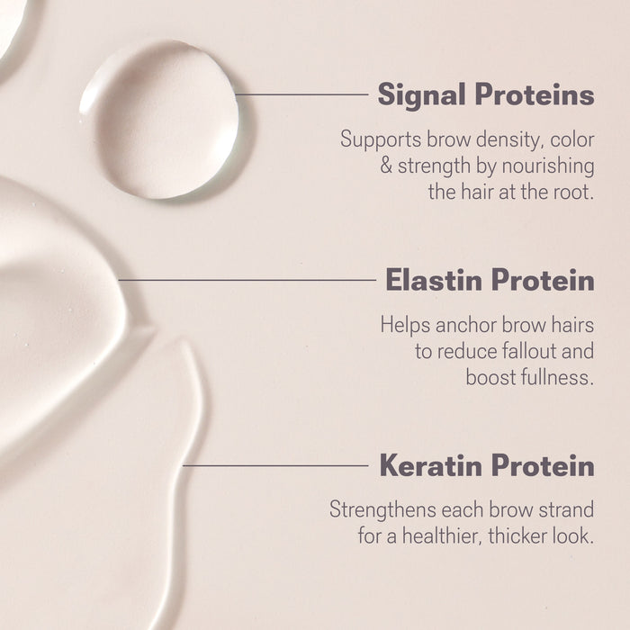 Labeled benefits graphic showing Signal Proteins, Elastin Protein, and Keratin Protein with brief eyebrow benefits
