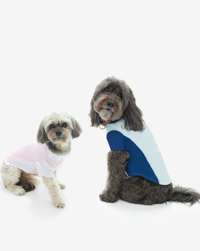 Two dogs wearing sleeveless sun shirts in pink and blue colors, with white and black patterns, sitting against a white background.