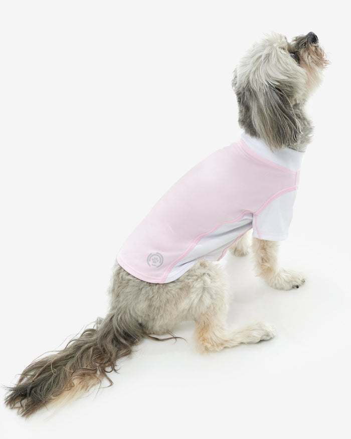 A dog wearing a sleeveless sun shirts in pink and white colors, sitting against a white background.