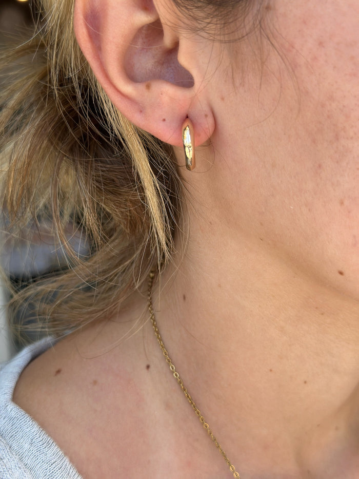 Mini Gold Hoops