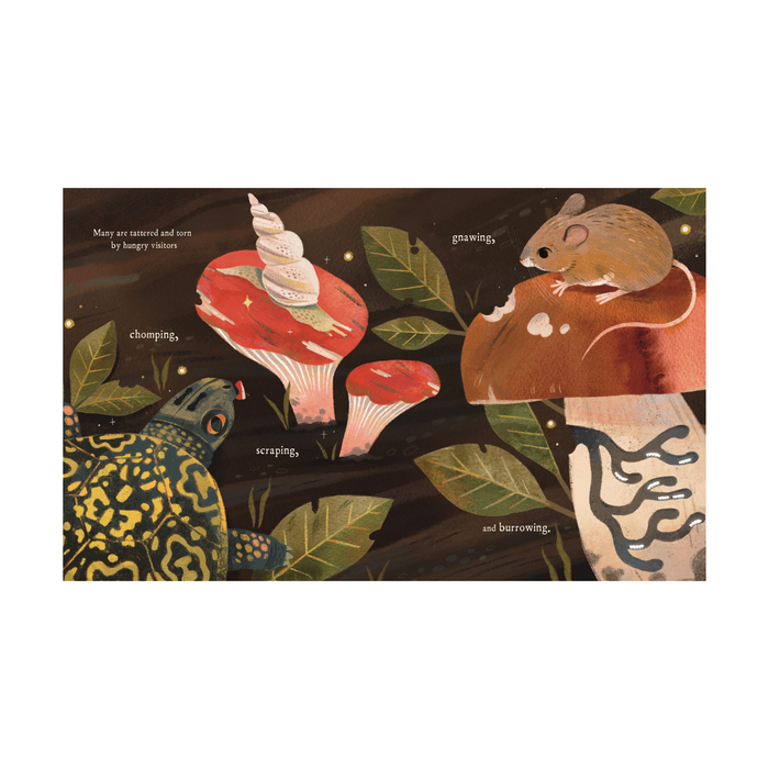 Mushroom Rain Picture Book