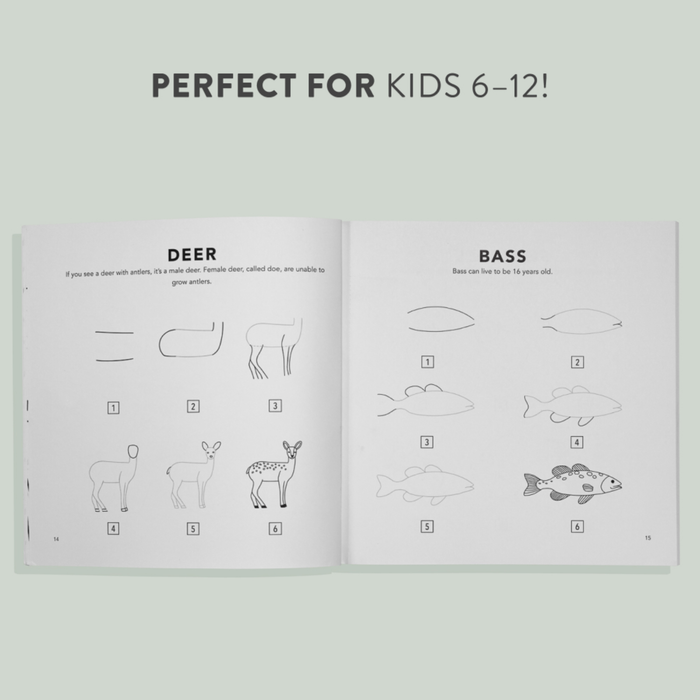Mushrooms & Woodland Creatures: How to Draw Books for Kids Book
