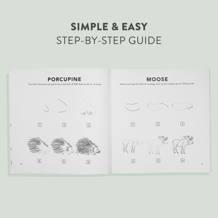 Mushrooms & Woodland Creatures: How to Draw Books for Kids Book