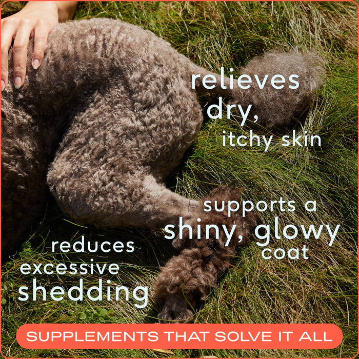 Omega-3 Fish Oil, Skin & Coat Health Supplement for Dogs: 8 oz