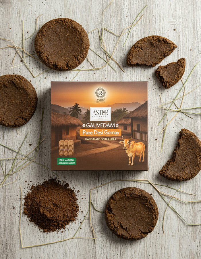 Handmade pure desi cow dung cakes (Gobar Upla) for religious use.