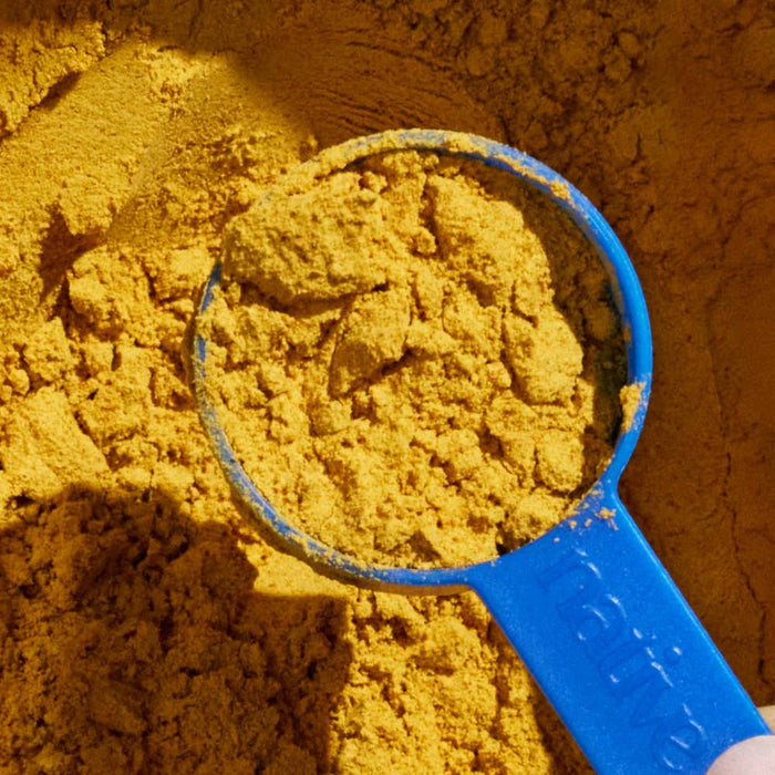 Organic Pumpkin Fiber Powder, Digestive Supplement for Dogs: 8 oz