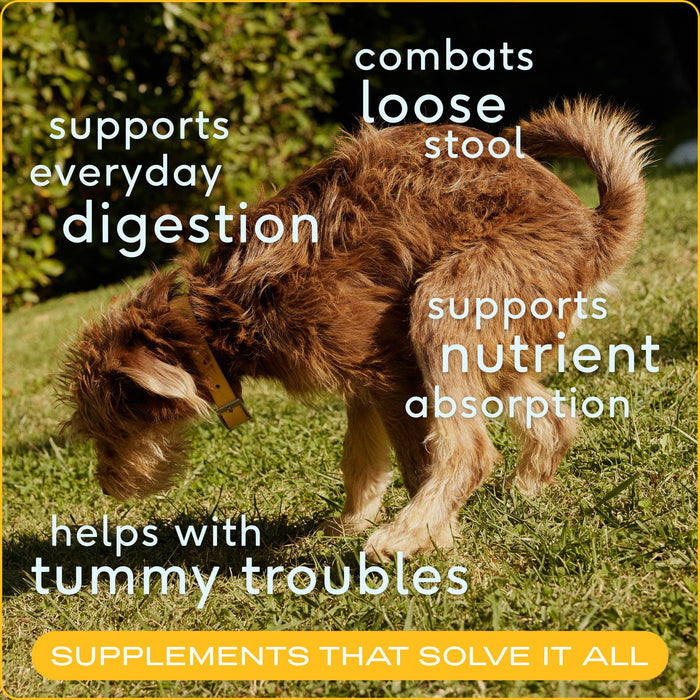 Organic Pumpkin Fiber Powder, Digestive Supplement for Dogs: 8 oz