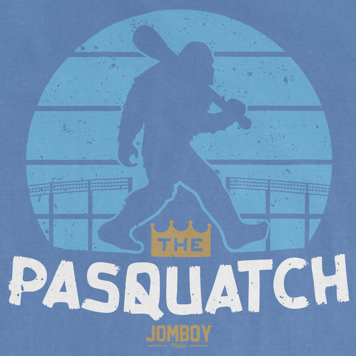Silhouette of a baseball player holding a bat, with "The Pasquatch" and "JomboY Media" text on a blue background.