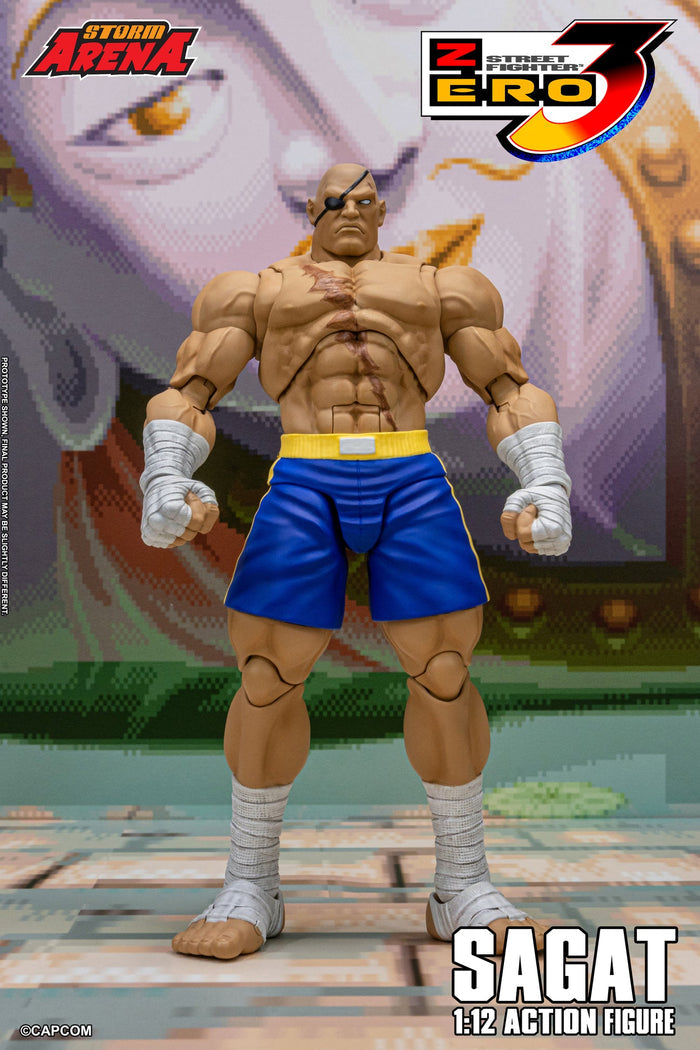 Sagat Street Fighter Alpha 3 Storm Arena Action Figure
