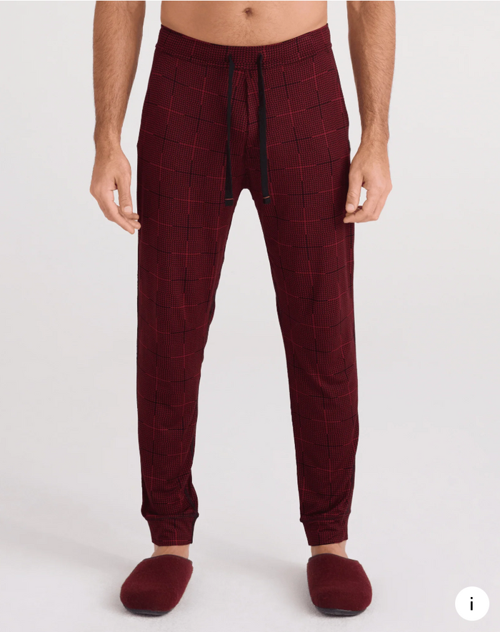 SAXX Snooze Pant