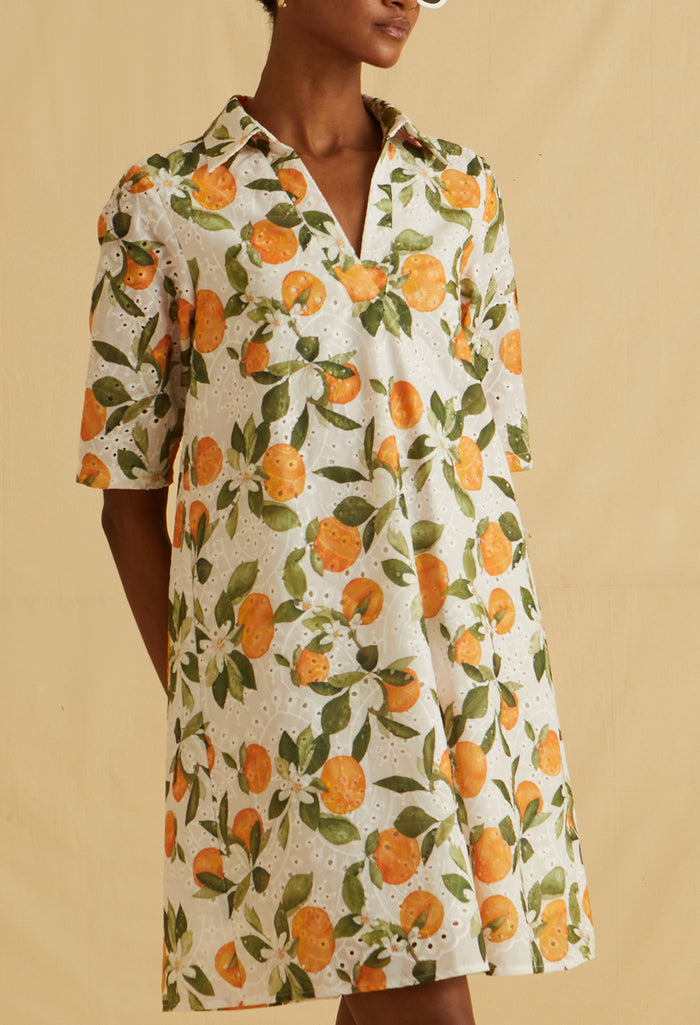 Sorrento Muse Mini Dress