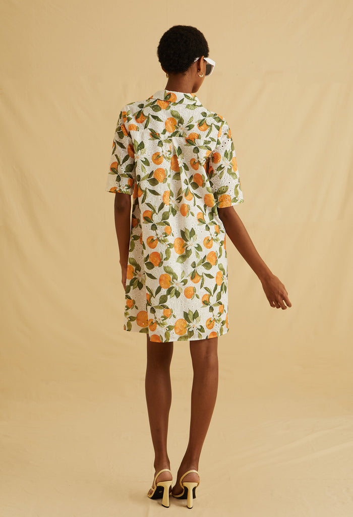 Sorrento Muse Mini Dress