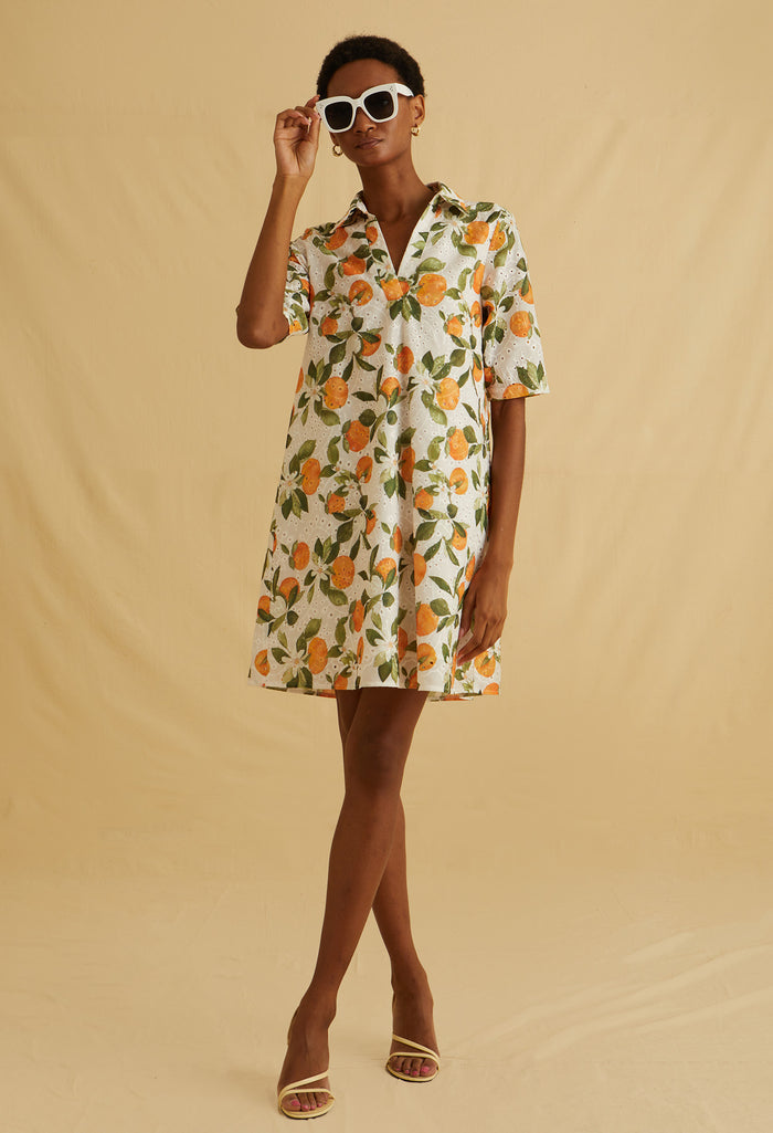 Sorrento Muse Mini Dress