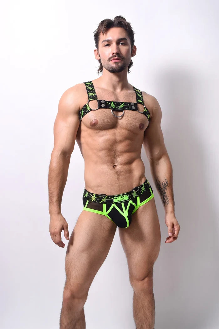 STINGER HARNESS