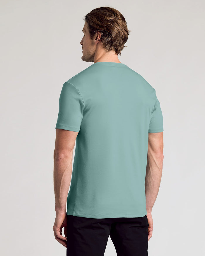 A man wearing a short-sleeve crewneck t-shirt in a muted sage green color, shown from the back against a light gray studio background.