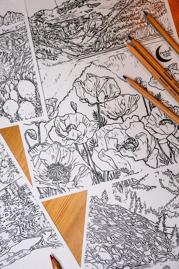 Summer + Spring // 6 Coloring Pages // Digital Download