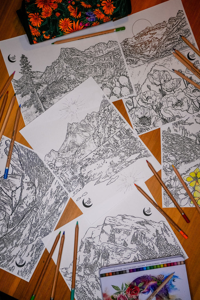 Summer + Spring // 6 Coloring Pages // Digital Download