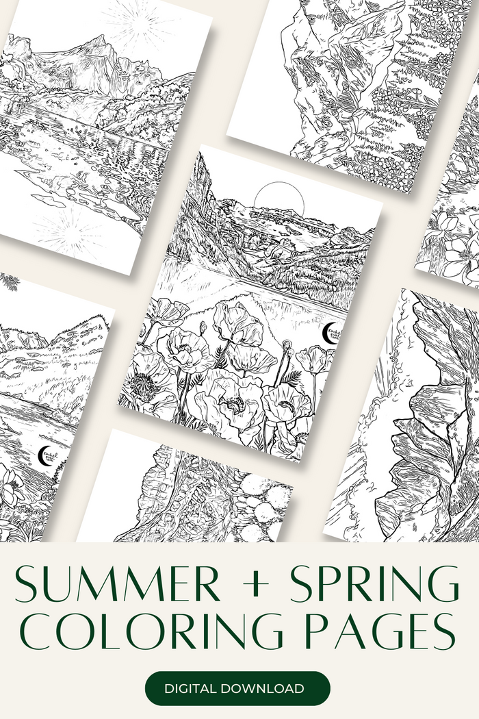 Summer + Spring // 6 Coloring Pages // Digital Download